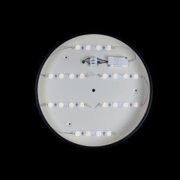 Потолочный светодиодный светильник Loft IT Axel 10002/24 black  - 3 купить